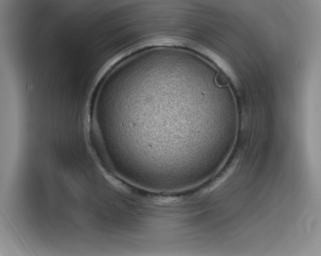 X0000114200837200910161223