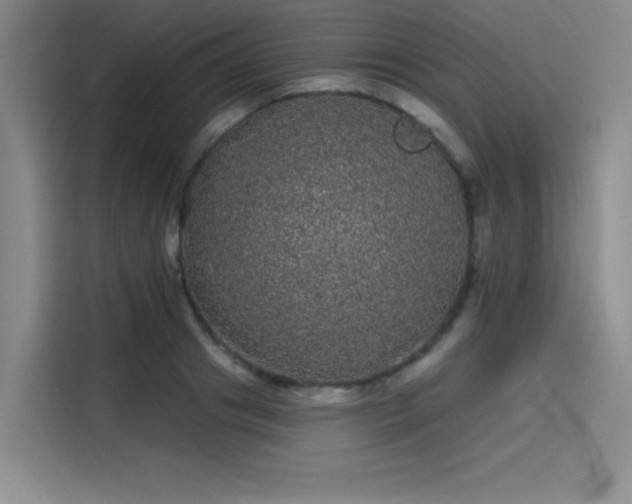 X0000114200841200910161223