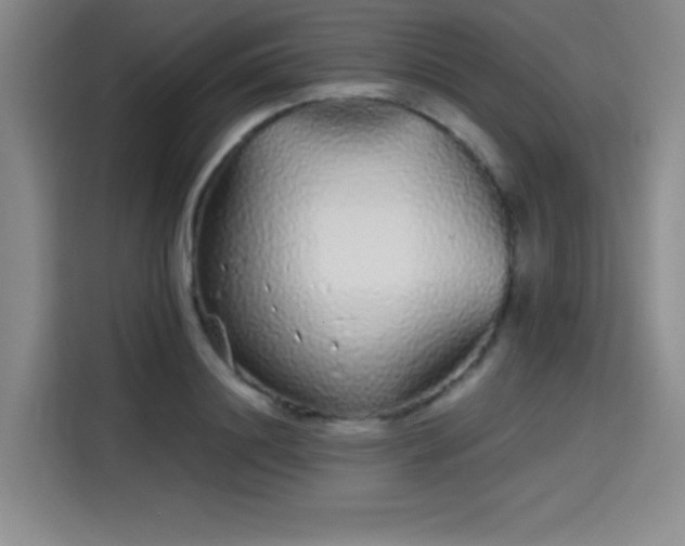 X0000114200844200910161223