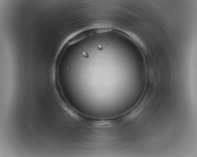 X0000114200846200910161223