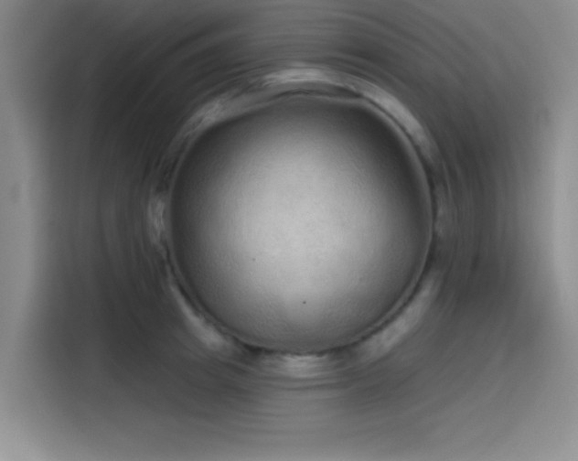 X0000114200849200910161223