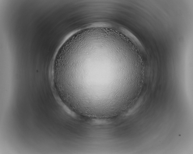 X0000114200852200910161223