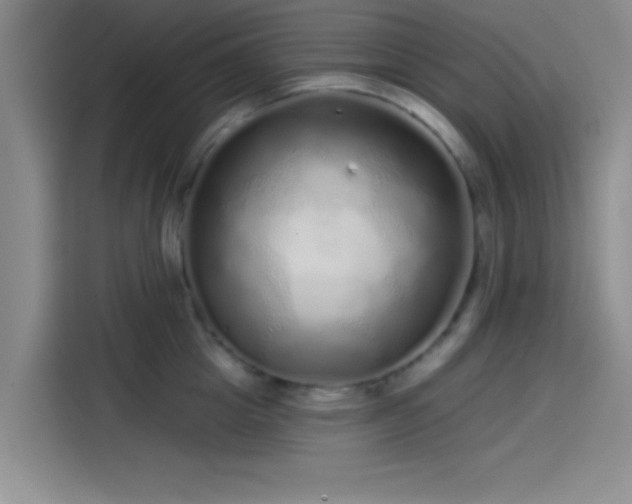 X0000114200857200910161223