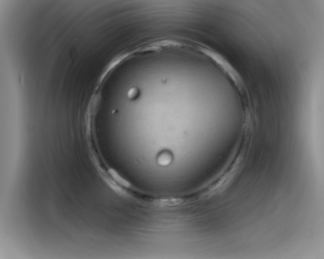 X0000114200858200910161223