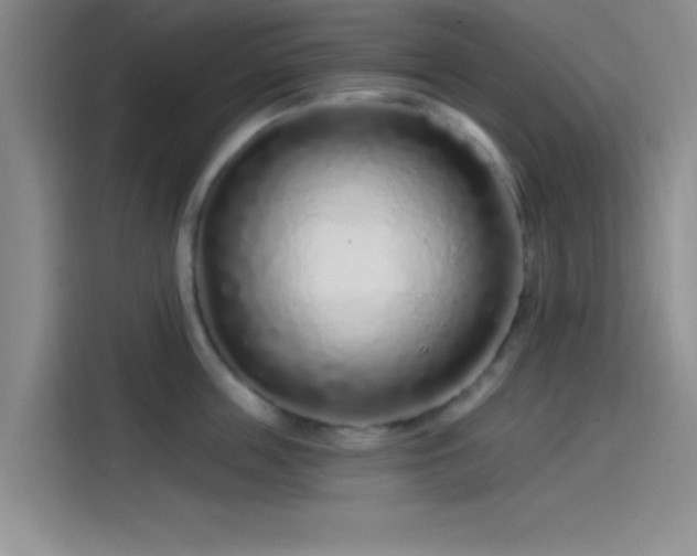 X0000114200859200910161223