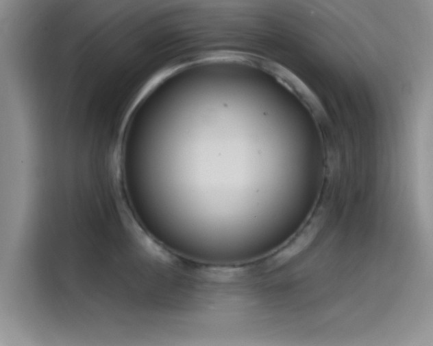 X0000114200860200910161223