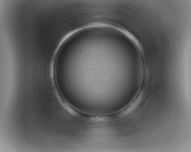 X0000114200862200910161223