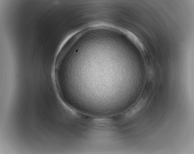 X0000114200863200910161223