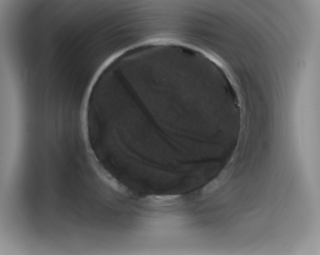 X0000114200864200910161223