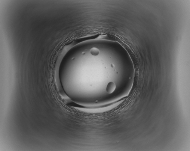 X0000114200865200910161223