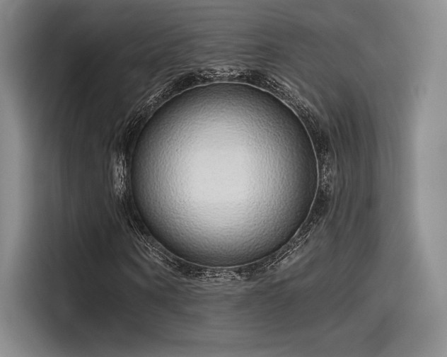 X0000114200866200910161223