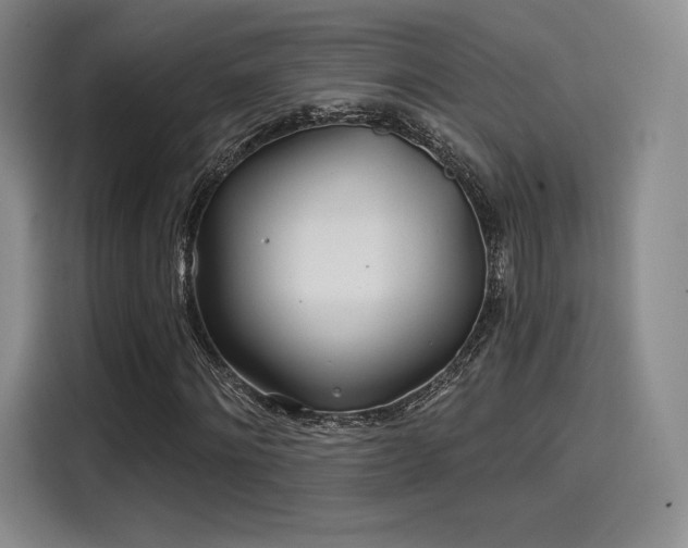 X0000114200868200910161223