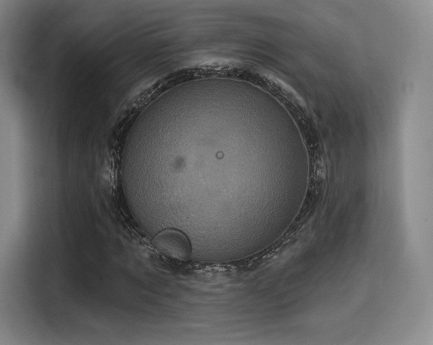 X0000114200869200910161223