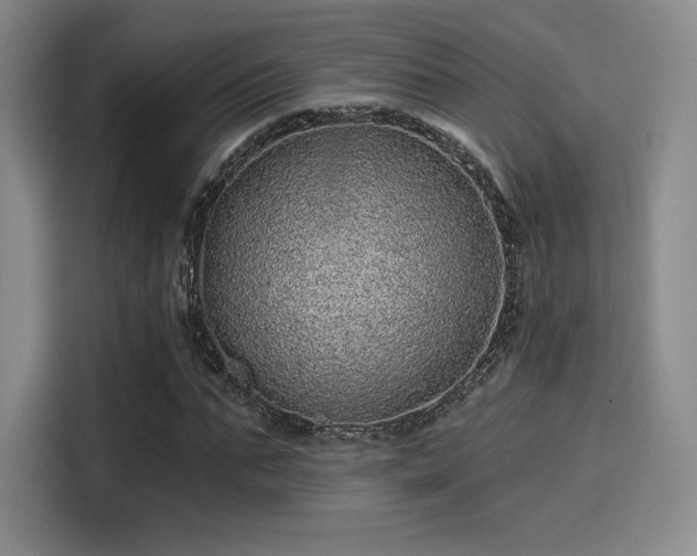 X0000114200871200910161223