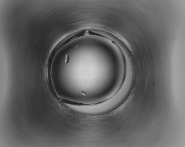 X0000114200877200910161223