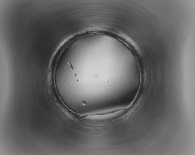 X0000114200878200910161223