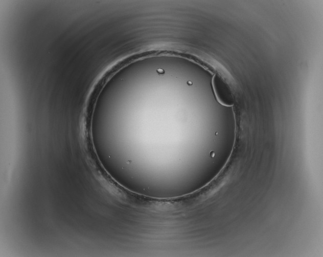 X0000114200880200910161223