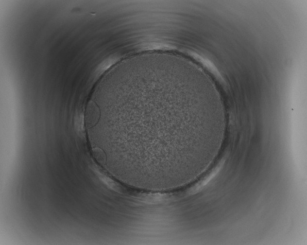 X0000114200881200910161223