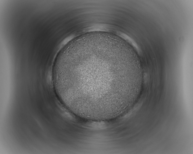 X0000114200882200910161223