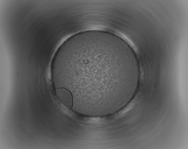 X0000114200883200910161222