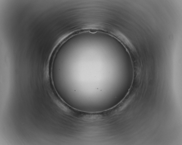 X0000114200884200910161222