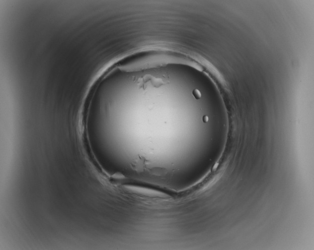 X0000114200885200910161222