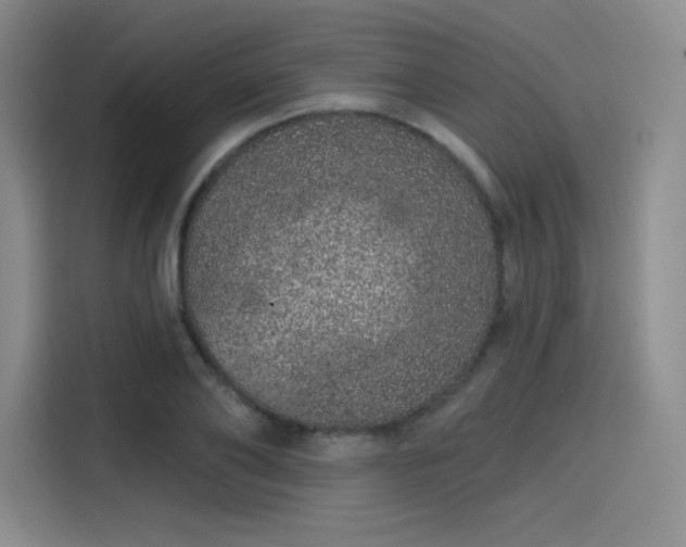 X0000114200886200910161222