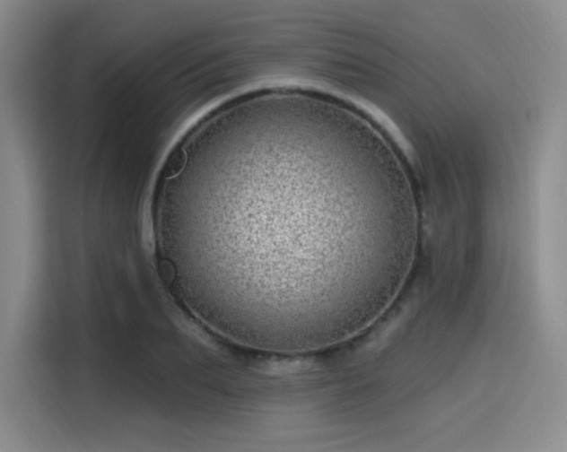 X0000114200887200910161222