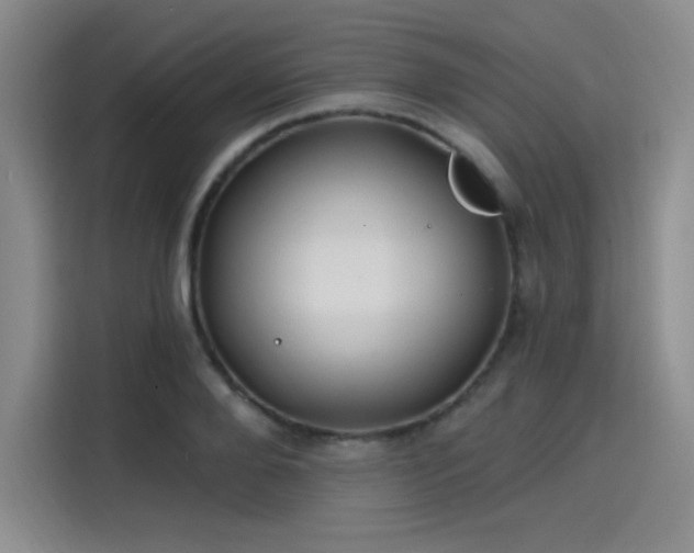 X0000114200888200910161222