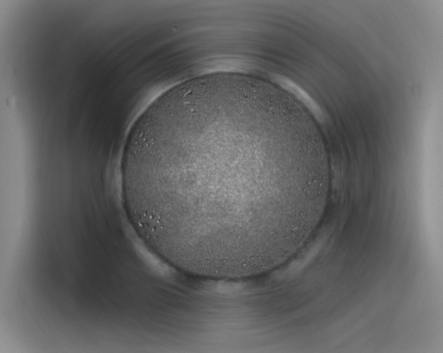 X0000114200890200910161222