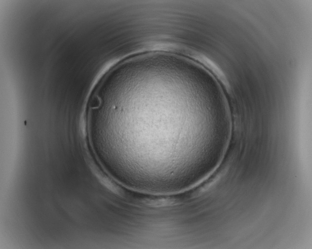 X0000114200891200910161222