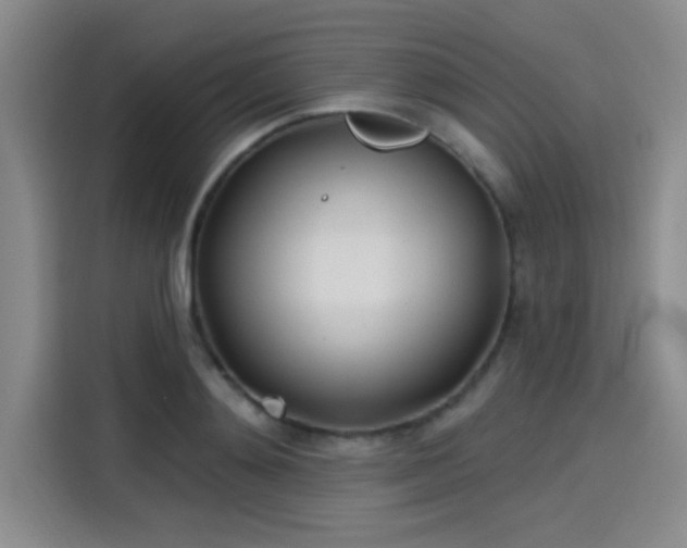 X0000114200892200910161222