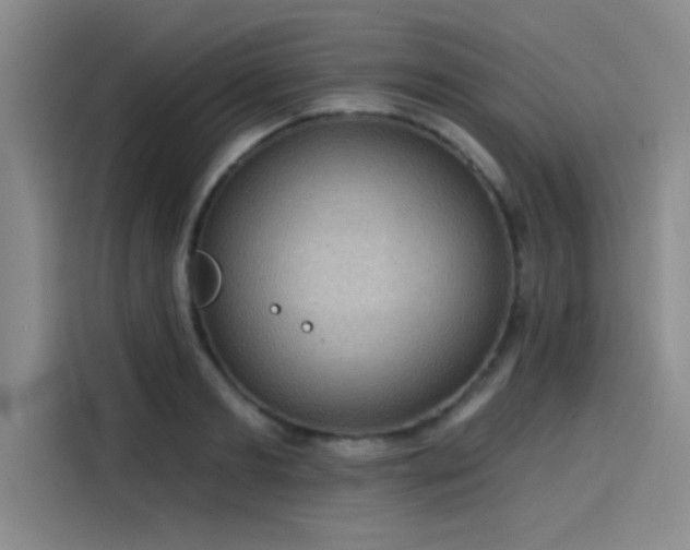 X0000114200893200910161222