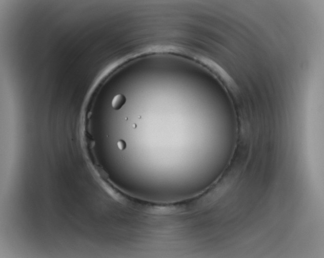 X0000114200894200910161222