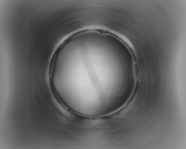 X0000114200895200910161222