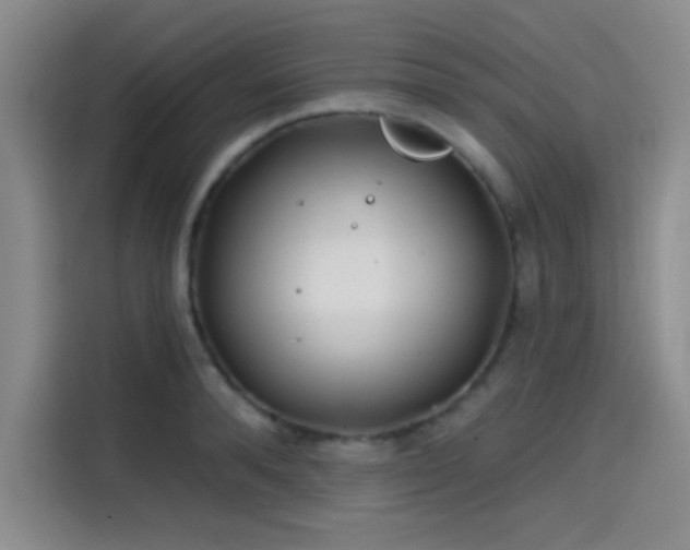 X0000114200896200910161222