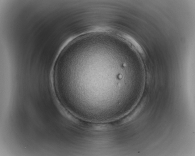 X0000114200899200910161222