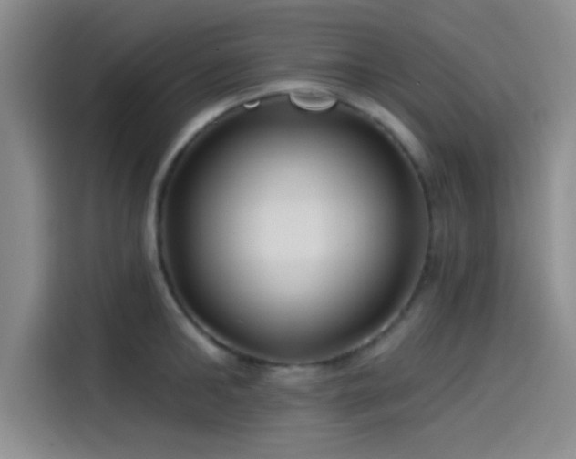 X0000114200902200910161222