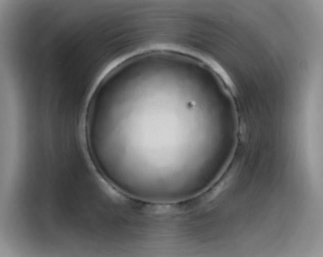 X0000114200903200910161222