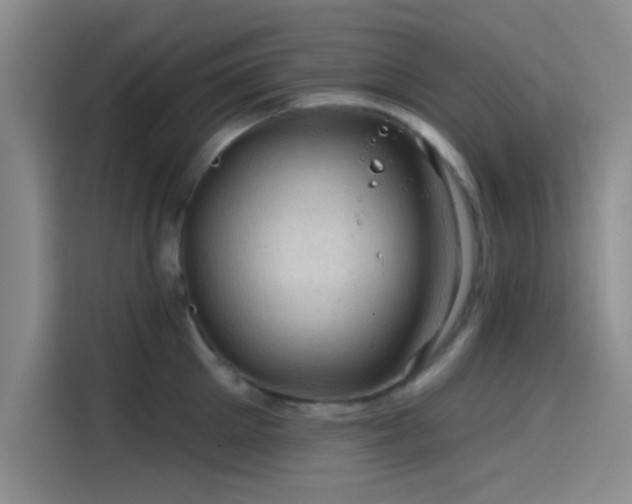 X0000114200905200910161222