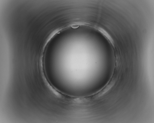 X0000114200906200910161222