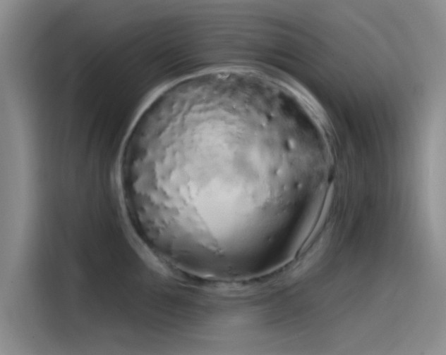 X0000114200907200910161222