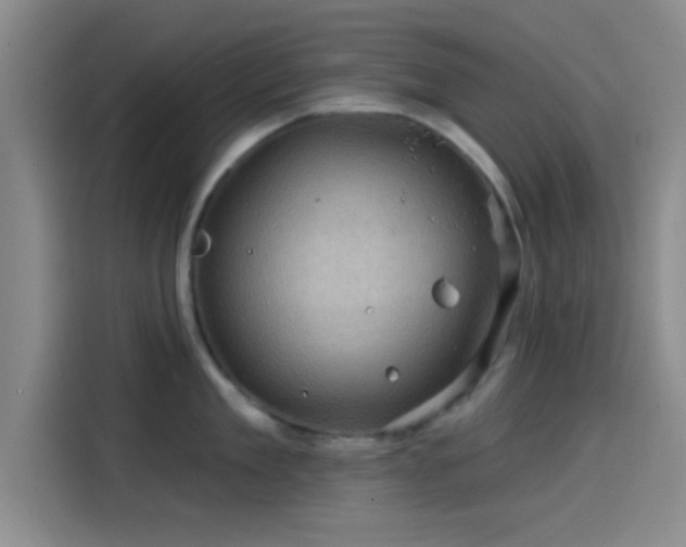 X0000114200909200910161222