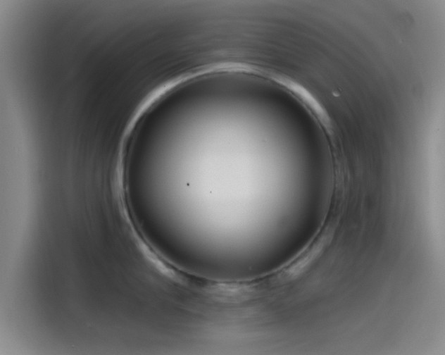 X0000114200910200910161222