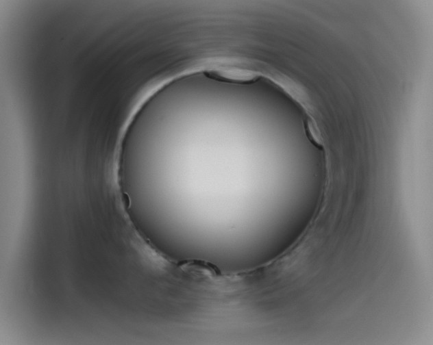 X0000114200912200910161222