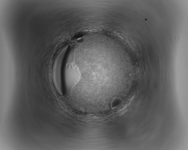 X0000114200913200910161221