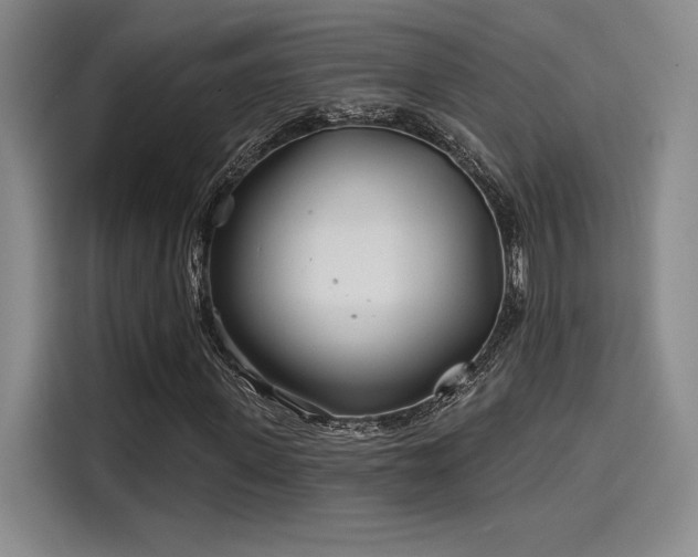 X0000114200915200910161222