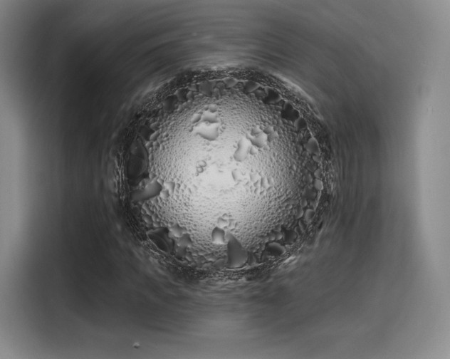 X0000114200917200910161222