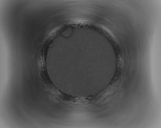 X0000114200918200910161222