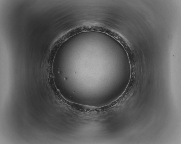 X0000114200919200910161222